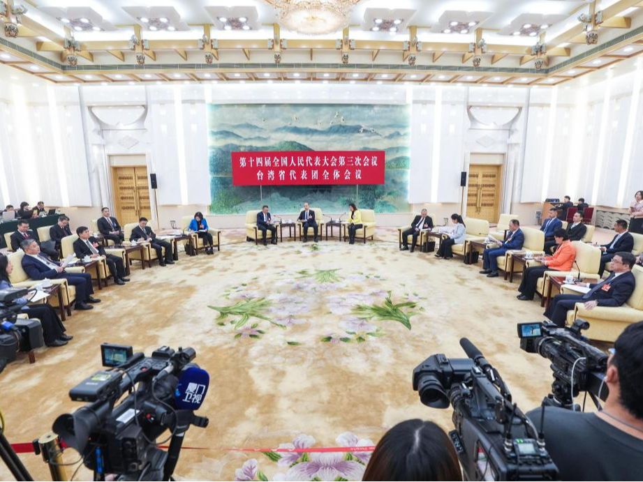 两会·港澳台丨凝聚青春力量 共创美好未来——台湾省籍代表委员谈两岸青年交流