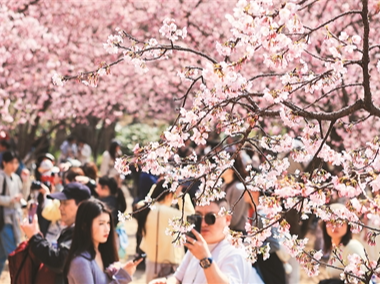 春天里的中国欣欣向荣