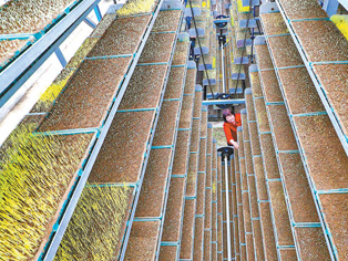 农业生产科技范儿（春耕进行时）