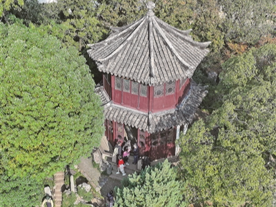 不入“园林”，怎知春色如许（传承之光）