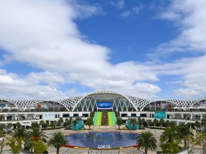 外媒：中国东兴与越南芒街携手共建智慧口岸