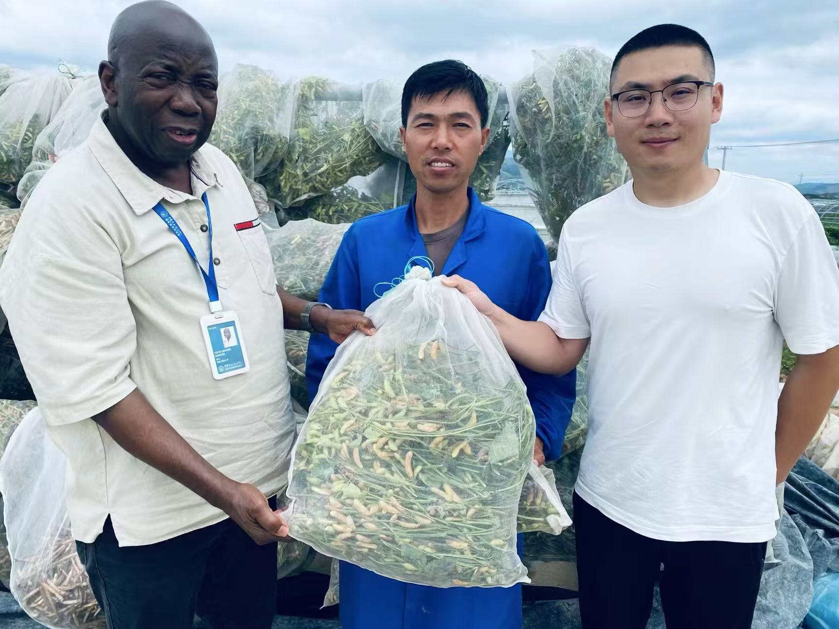 “洋人才”在南繁硅谷的“双向奔赴”