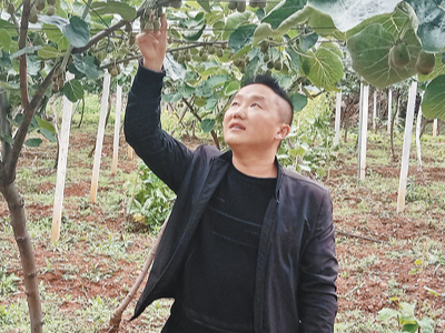 “让乡亲们的日子像猕猴桃一样甜”（报效祖国 建功西部）