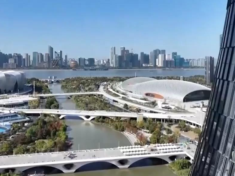 【活力中国调研行】数字经济快速增长背后的能量密码