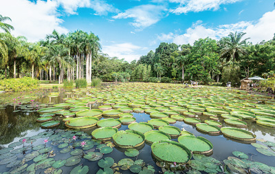 “中国的科学发展速度让人着迷” 