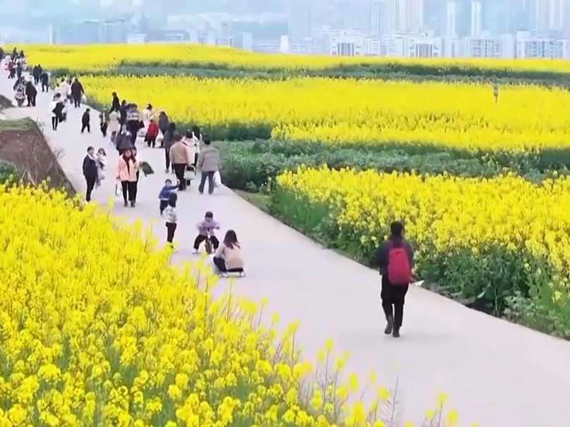 踏青赏花 乐享春日好时光