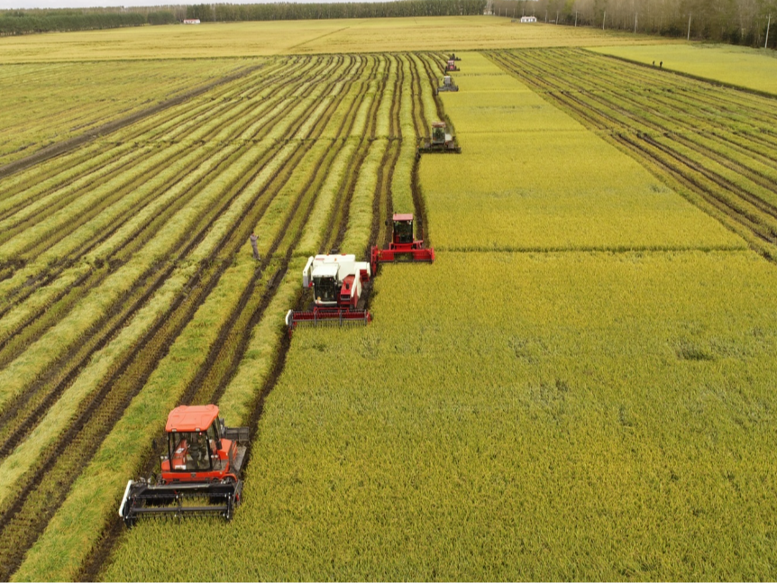 外媒：中国技术推动乌兹别克斯坦农业发展