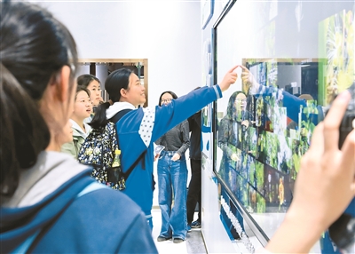 科研“她力量”代代闪耀