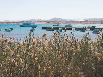 红海之滨，古港遗韵（旅人心语）