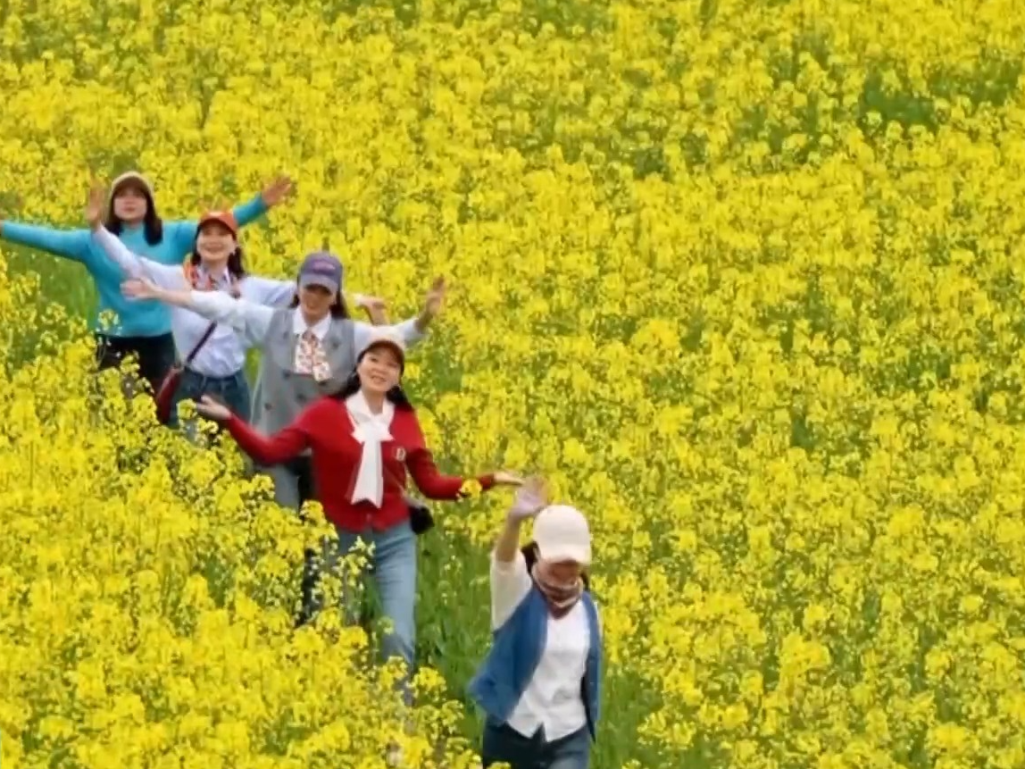 废弃矿坑变身金色花海 三地“花样”撬动消费新活力