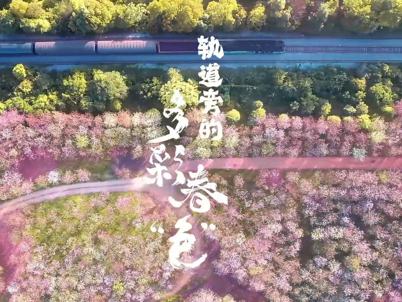 轨道旁的多彩春“色”