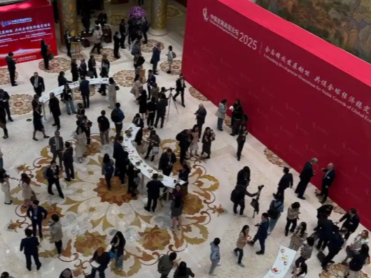 外媒：众多企业代表参加中国发展高层论坛，对中国经济前景表示乐观