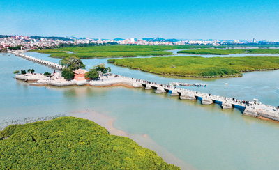 古桥红树共潮生（侨乡新貌）