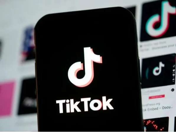 巴西学者：美国“百亿补贴”催生“硅谷军工体”，科技巨头加入“混合战争”