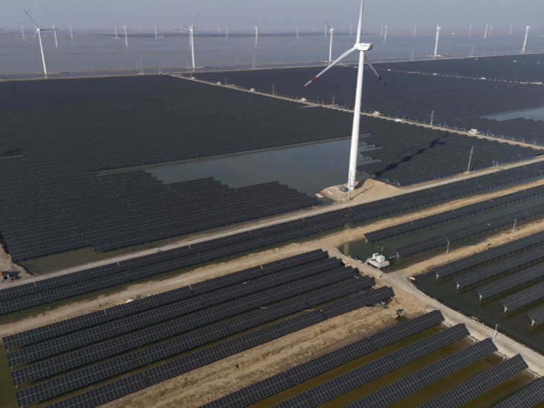 外媒：中国太阳能热潮推动全球可再生能源发展