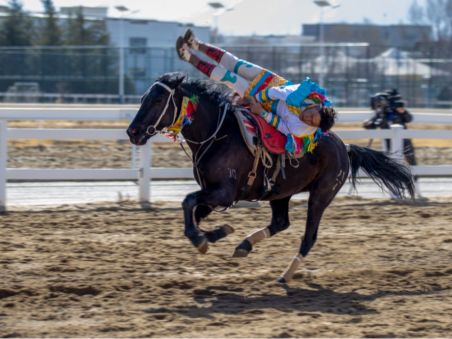 西藏：马背竞技迎新年