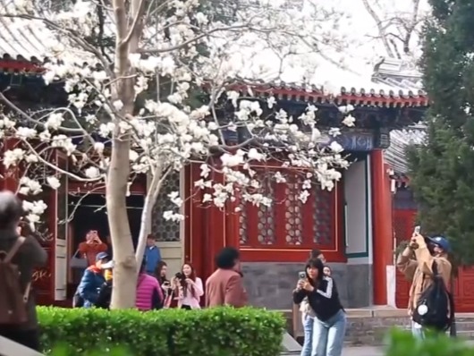 因地制宜、因时制宜创新文化消费 “文创+”将“流量”变“留量”