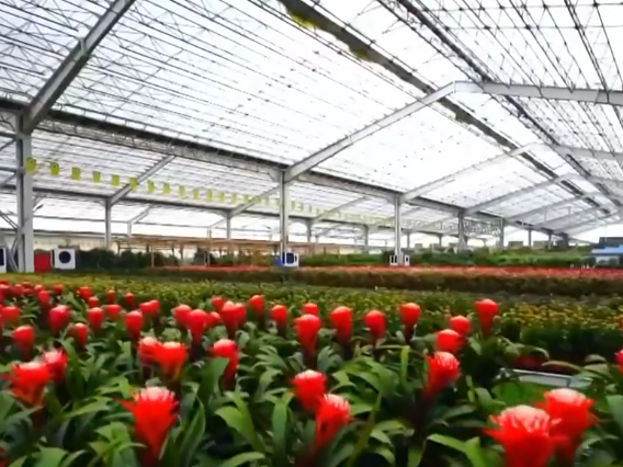 多彩活动将“春日流量”变为“消费增量” 农商文旅融合活力涌动