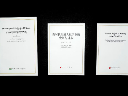 新华网评：人民幸福生活是最大的人权