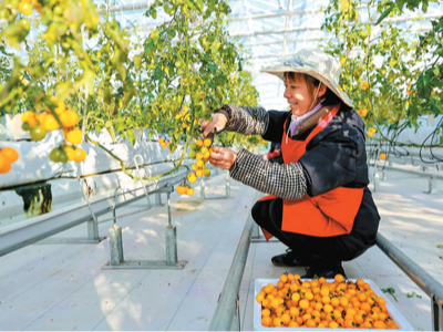 AI能否“爆改”农业？（“融”观中国）