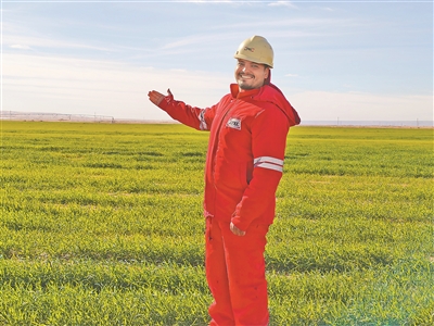 “阿斯旺贫瘠的沙漠长出了麦苗”