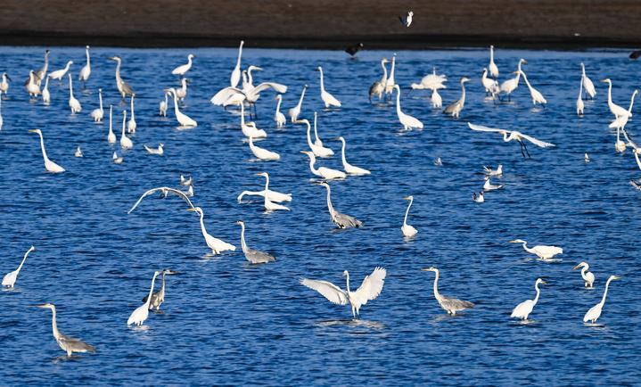 新华每日电讯｜吴韵汉风 织锦江南——江苏探索以人文经济激活高质量发展新动能