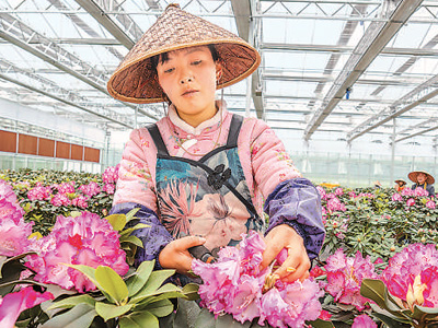 信心凝聚力量 实干谱写华章