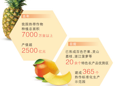 热带作物产业 深耕“专精特新”（大数据观察）