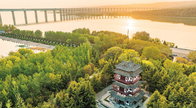 “植”此青绿 不负春光