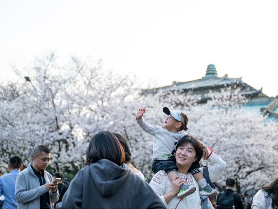 消费提质扩容 内需市场澎湃新潮涌动