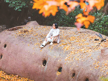 在泥蜂舍 编虫子书