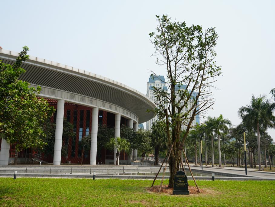 海外网评：旅游、节日、电影……中越友谊接力棒传下去