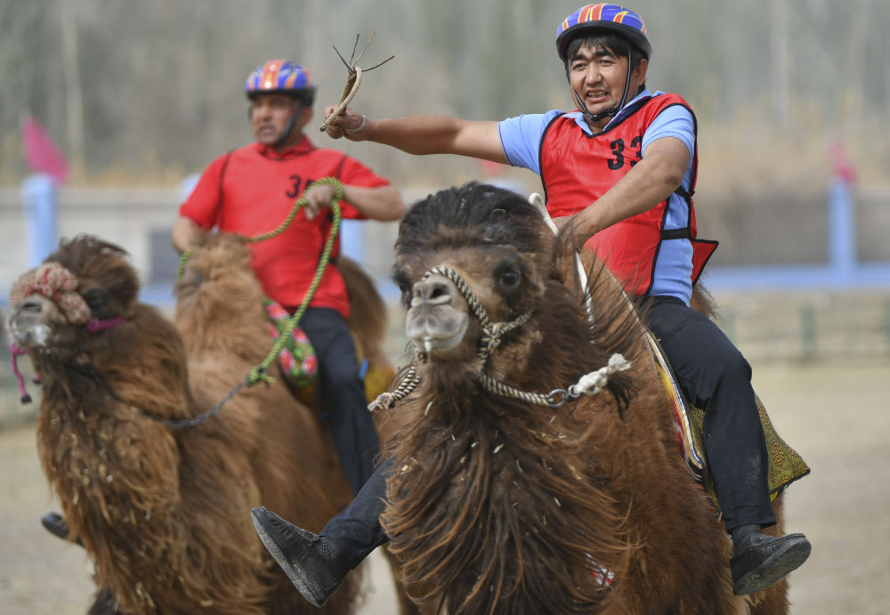 追光｜沙漠小城的农牧民运动会，攒劲得很！