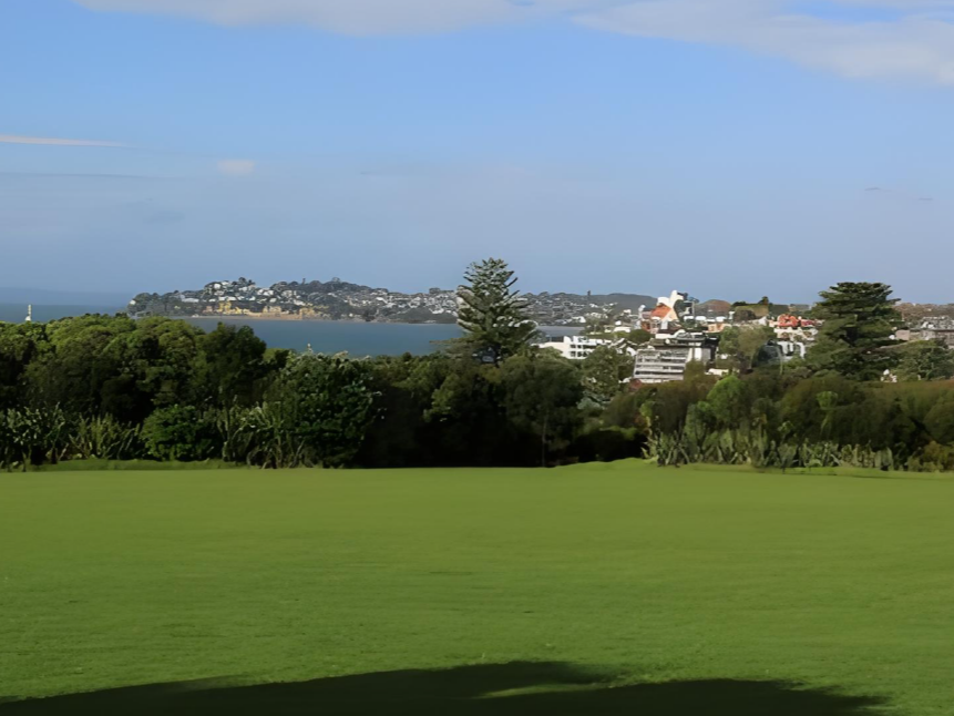 外媒：新西兰加大力度吸引中国游客