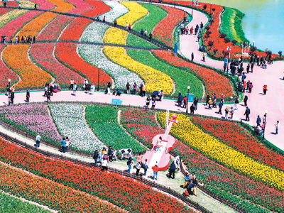 赏花游带动文旅新消费