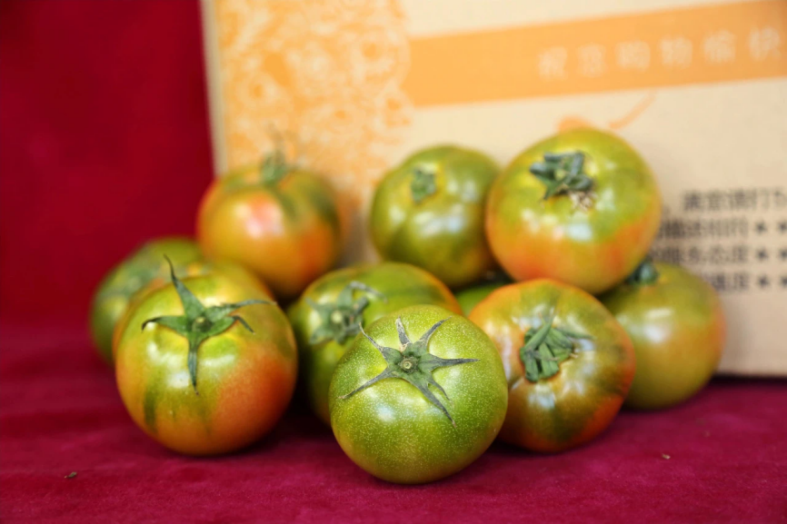 幸福河湖海丨执笔绘好乡村振兴“三幅画卷”