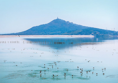 人来鸟不惊（侨乡新貌）