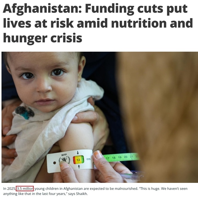 世界粮食计划署官网截图