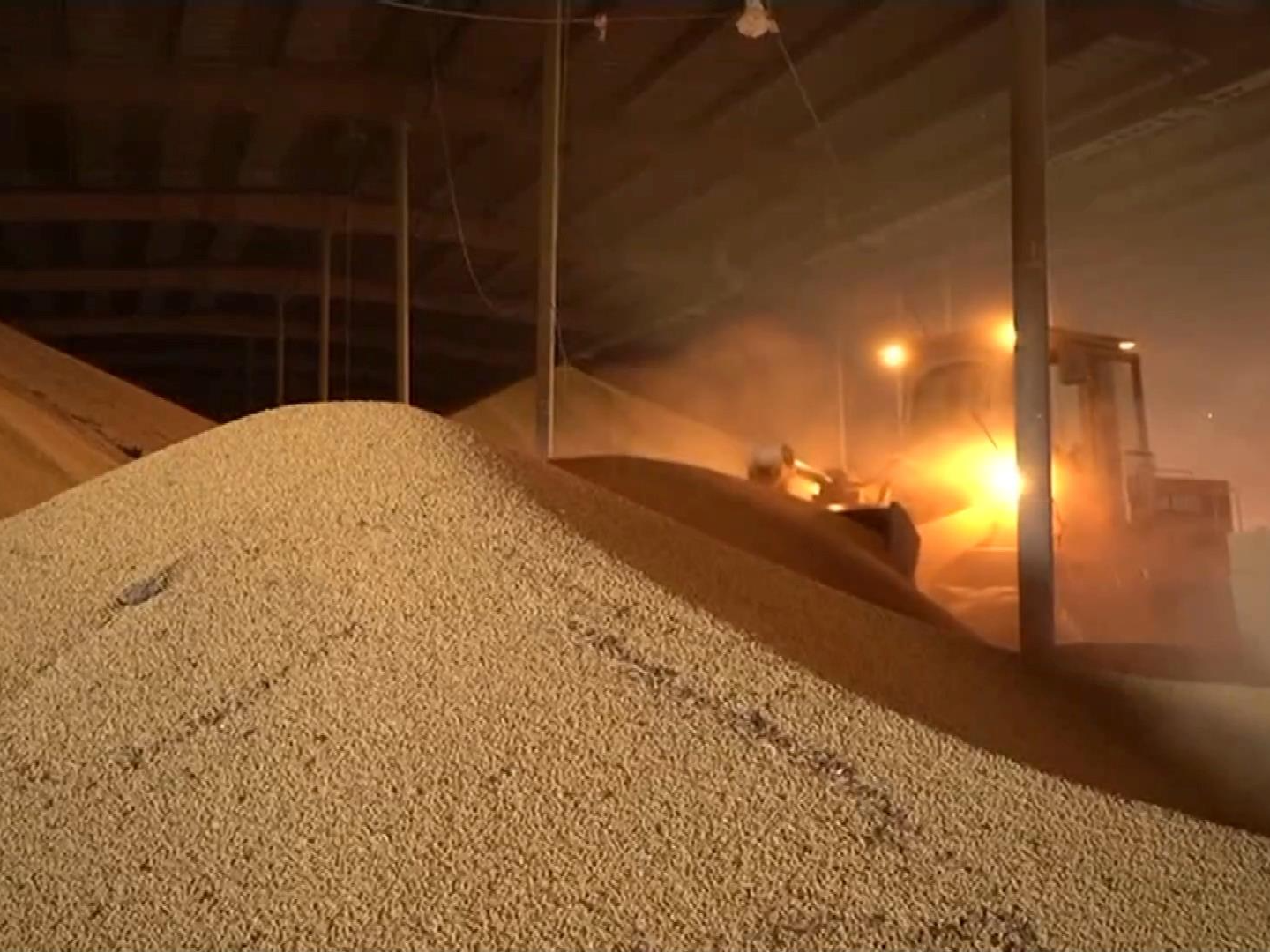 美关税政策反噬农业：订单取消 价格暴跌 美农业陷“全面危机”