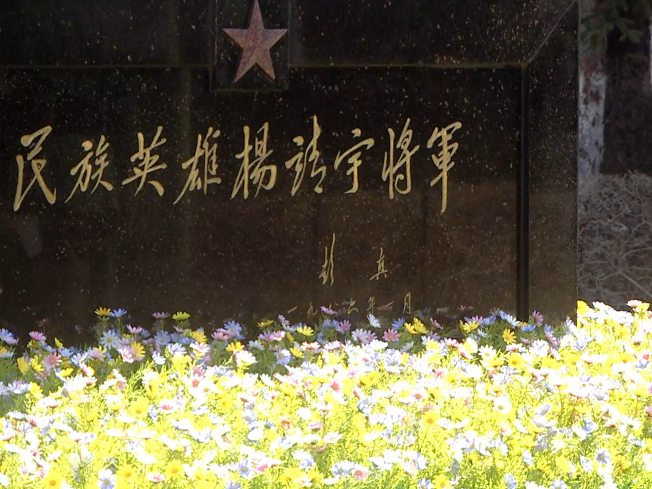 清明寄哀思丨山城肃穆念英烈 英魂永在共缅怀