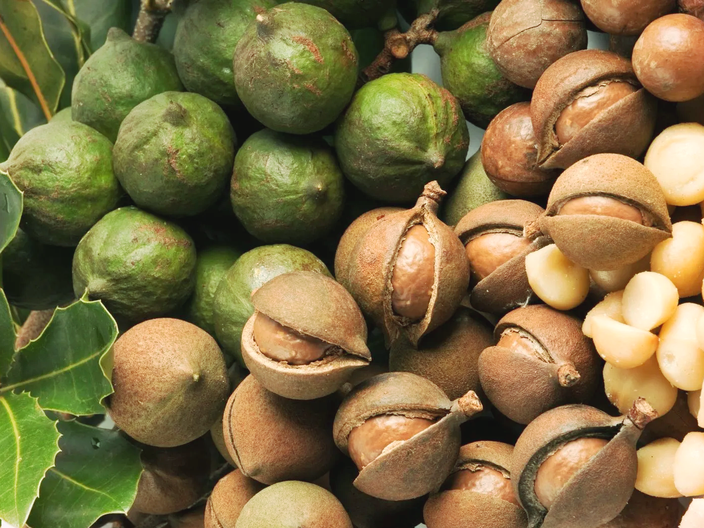 外媒：中国市场将迎来赞比亚更多农产品