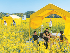 一份打卡清单，挖掘城市“宝藏”（消费新潮流，释放新热度②）