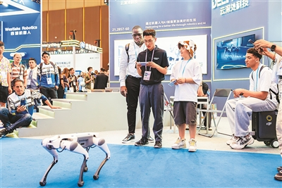 “这是我们这个时代的生动注脚”（侨界关注）