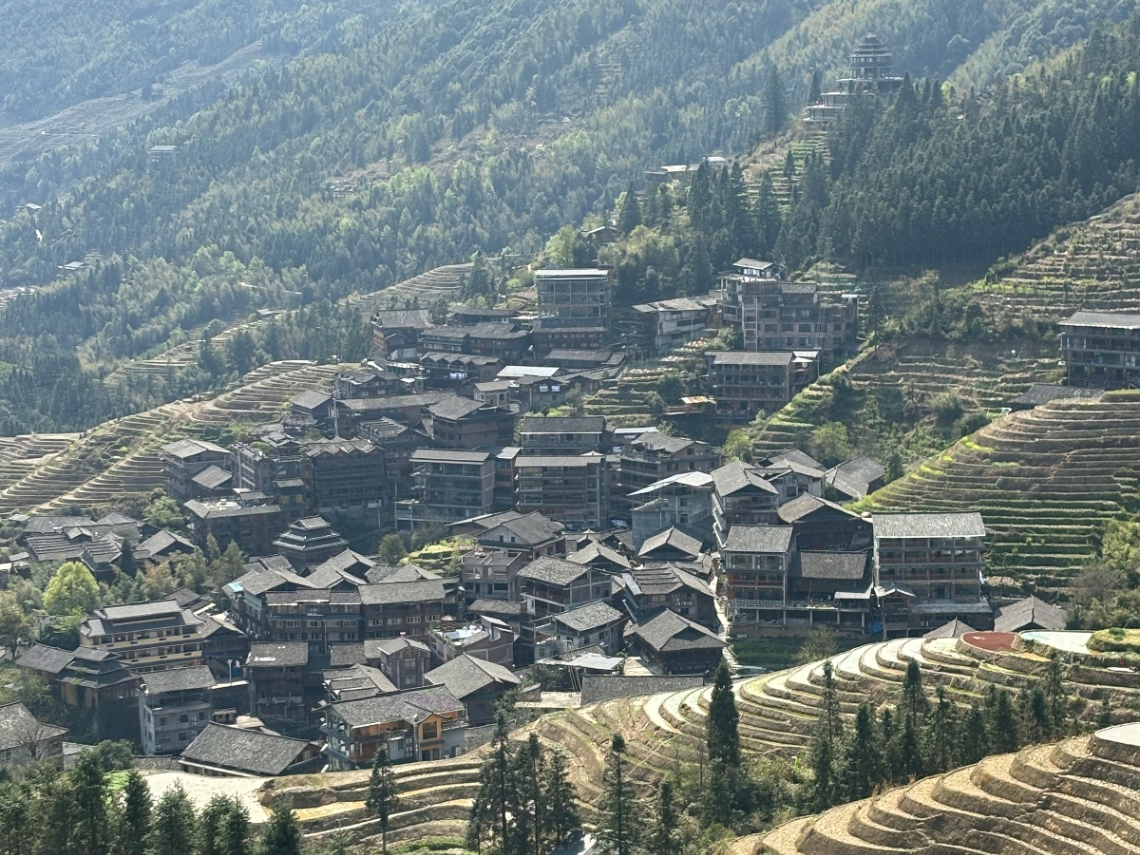 金竹壮寨 安居乐业