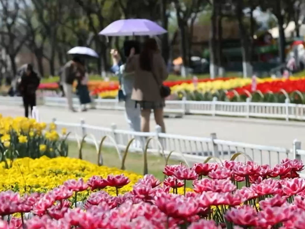 “跟着演出去旅行” 追一出好戏 解锁文旅新体验