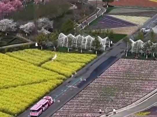 透过数据看清明假期出行“热” 传统文化“体验游”为文旅经济注入新活力