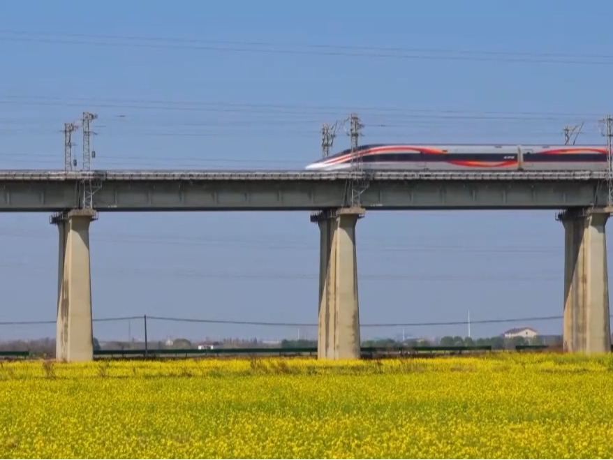 踏青“追花”、乡野观光……清明出游解锁新趋势