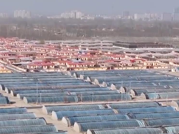 真抓实干 打开改革发展新天地 | 多措并举巩固拓展脱贫攻坚成果 新疆云南扎实推进乡村全面振兴