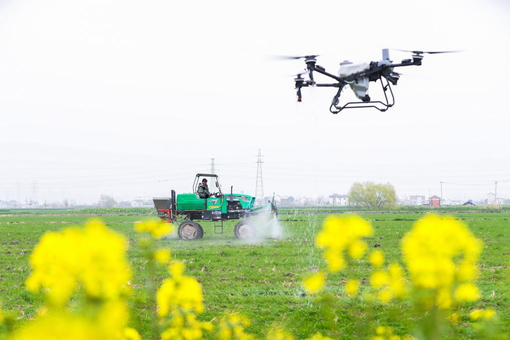 海外网评：在这个春天，把奋斗的种子埋进土地