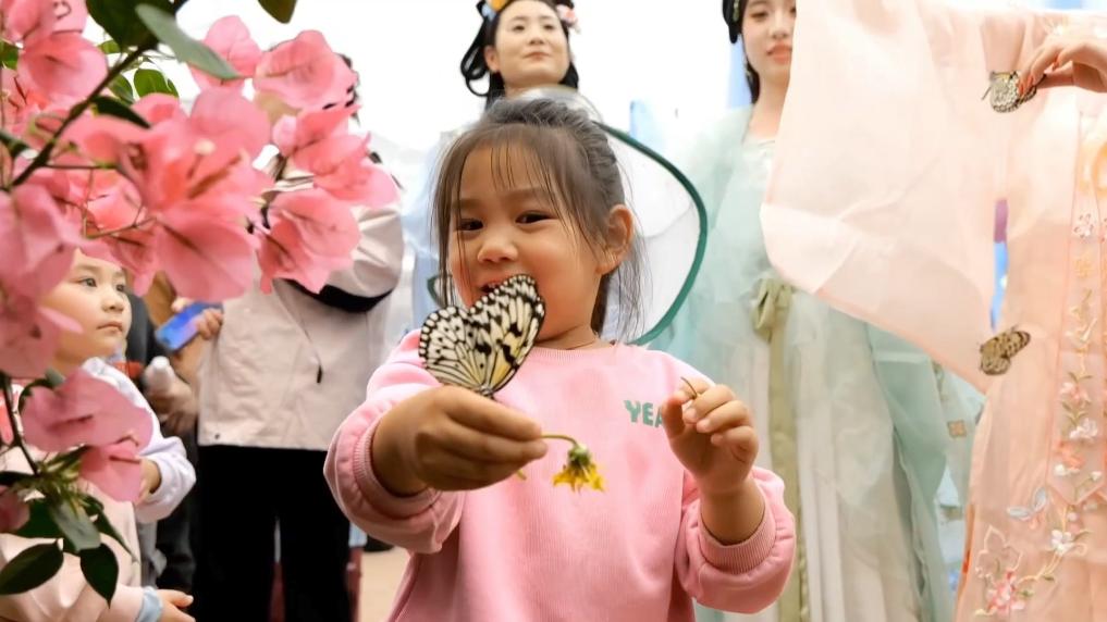 人市两热 多彩假日活力足——2025清明假期盘点